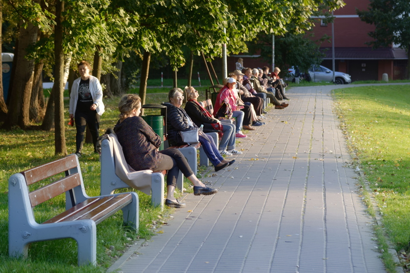 30 - Several people enjoying a sunny day sitting on outdoor benches in a park setting